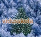 Ziemassvētki mūsu skolā